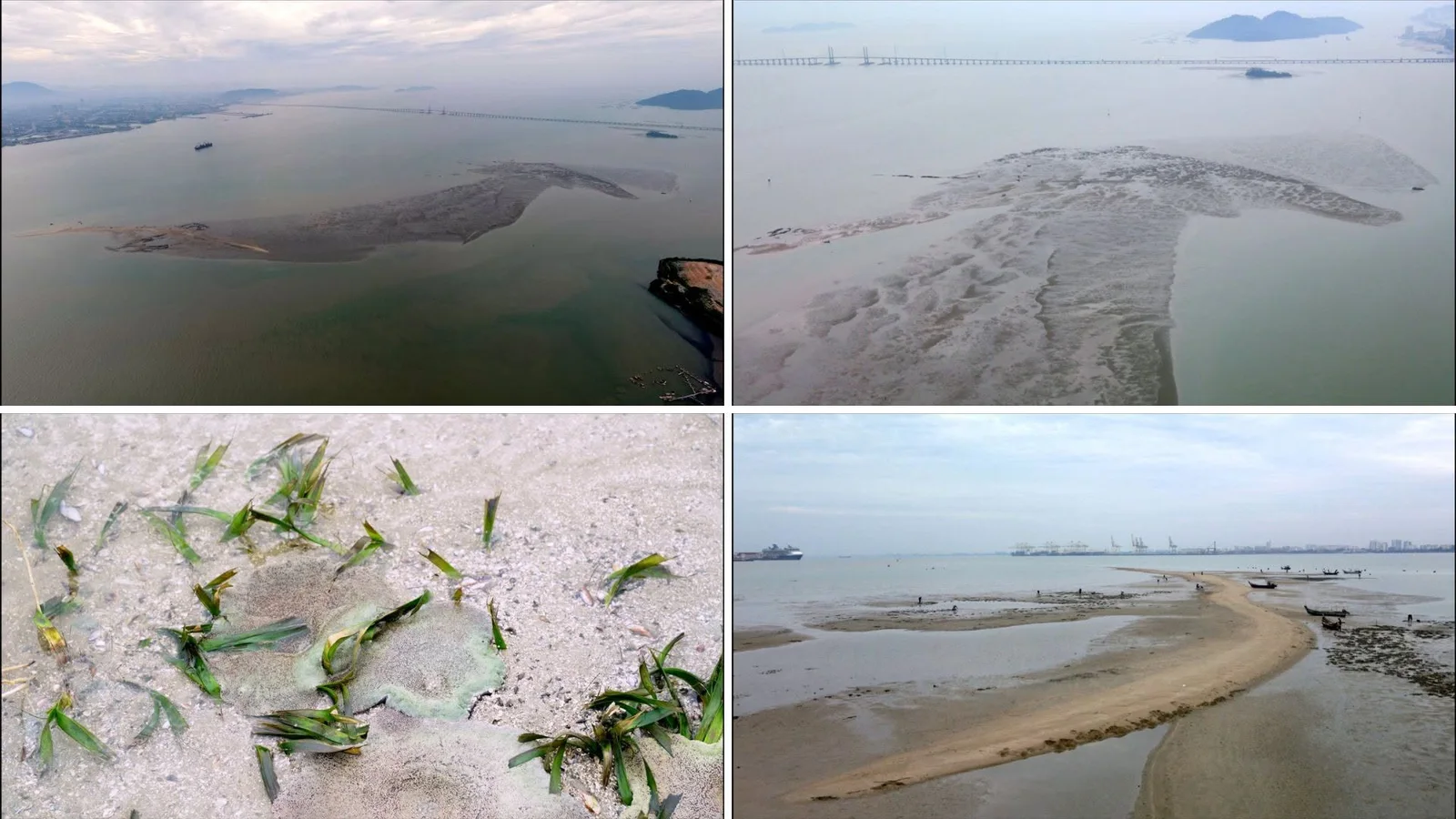 Four-image collage showing two elevated views of an exposed coastal bank, green leaves on sediment, and boats beside a curved strip of exposed ground.