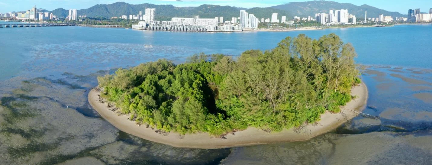 Aerial view of tree-covered Pulau Gazumbo and exposed tidal flats, with Penang’s eastern waterfront beyond.